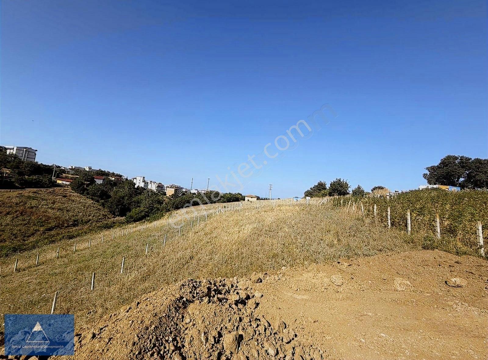 Satılık Altyapısı Ödenmiş Yolu Açılmış Arsa - Görsel 3