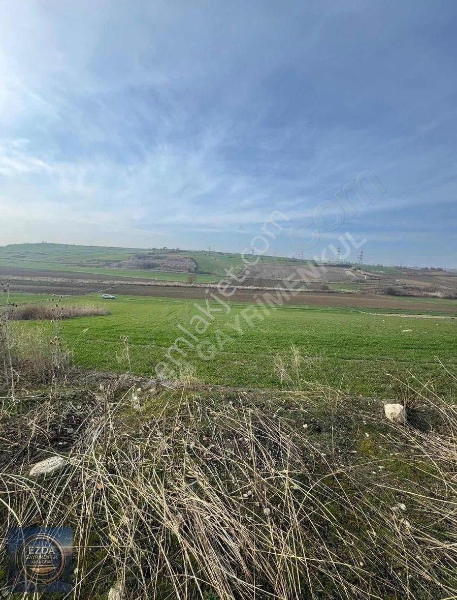 Ezda Gayrimenkul'den Gelibolu Demirtepe Deniz Manzaralı Tarla
