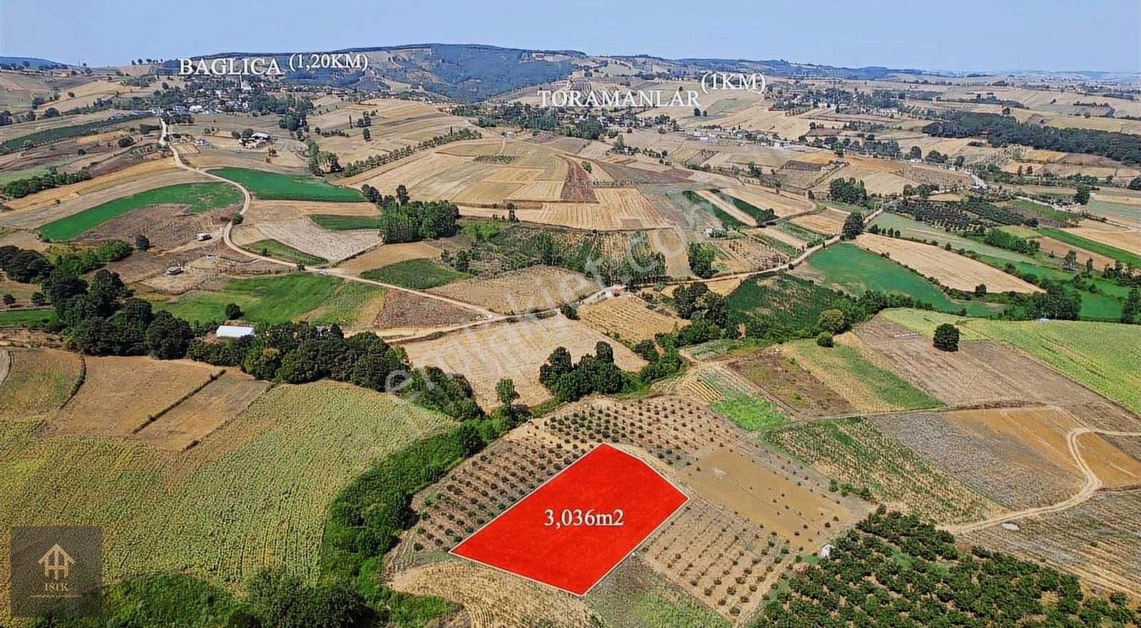 İzmit Ambarcıda Satılık 3036 M2 Satılık Tarla
