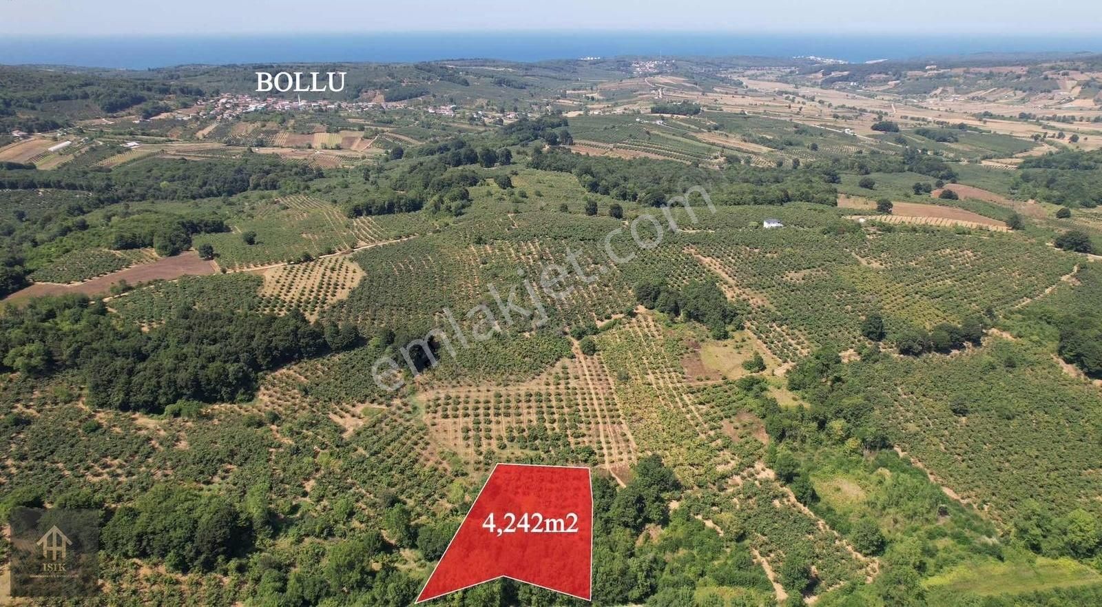 Kandıra Safalıda 4243 M² Tarla
