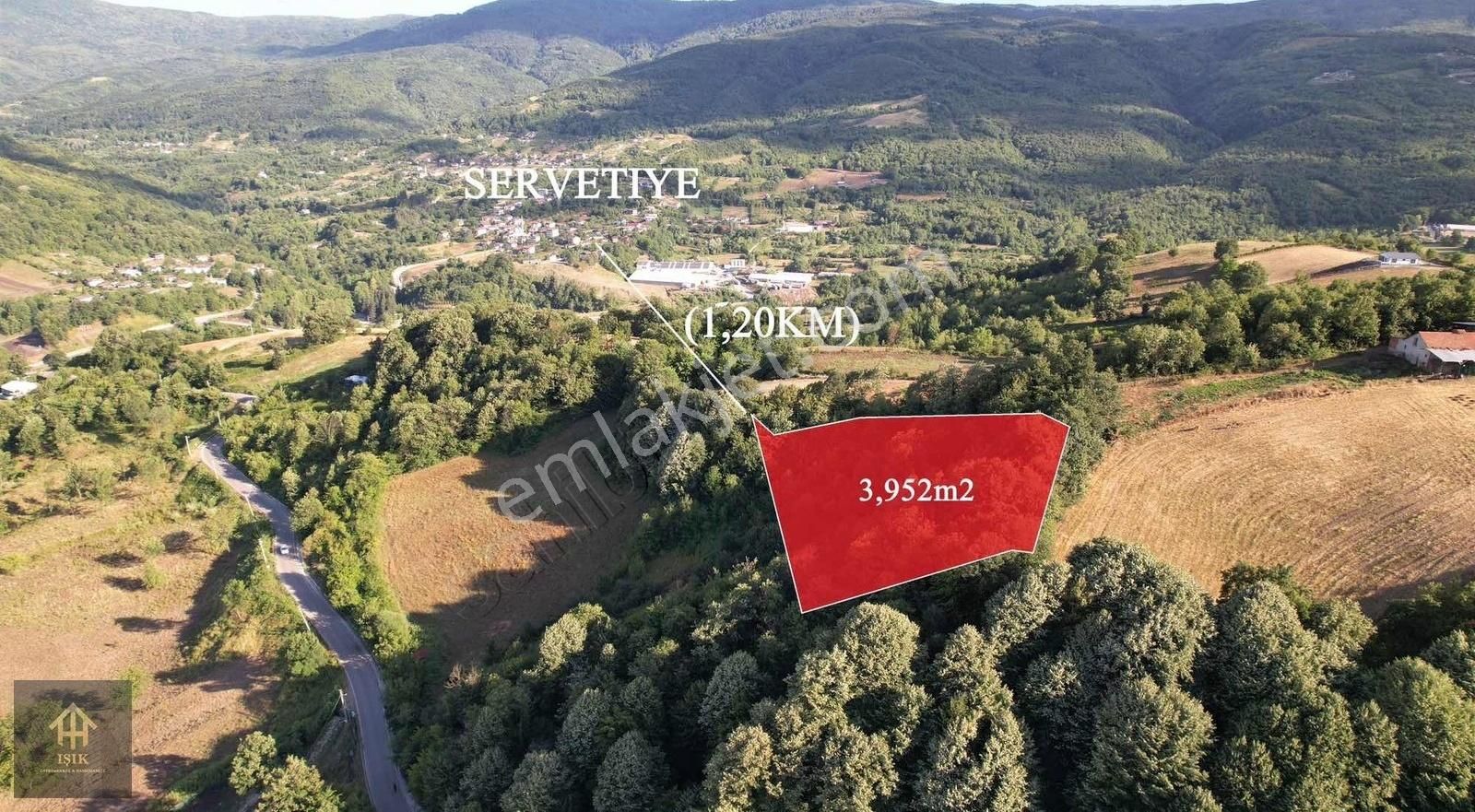 Gölcük Hamidiye Satılık 3.952 M² Tarla