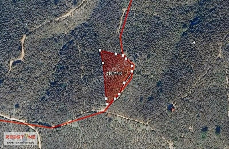 Darıçayırında 3087 M2 200 Ocak İçinde Fındık Olan Satılık Tarla - Görsel 5