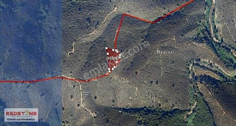 Darıçayırında 3087 M2 200 Ocak İçinde Fındık Olan Satılık Tarla - Görsel 4