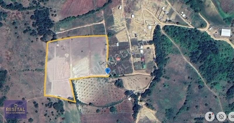 Kestel Ümitalan Da Acil Satılık Fırsat Arsa