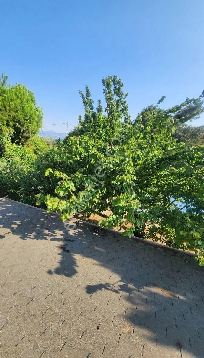 1796 Metre Kare Arazi İçinde Yüzme Havuzlu Bahçeli Villa - Görsel 2