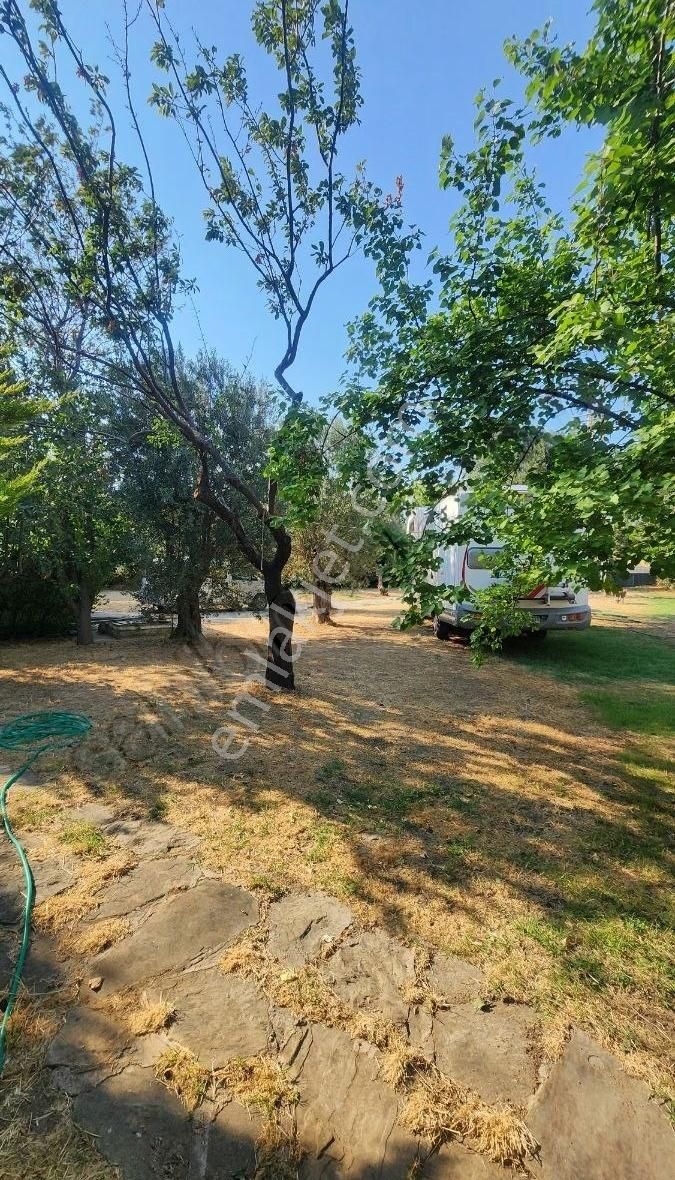 1796 Metre Kare Arazi İçinde Yüzme Havuzlu Bahçeli Villa - Görsel 14