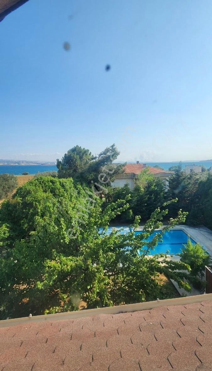 1796 Metre Kare Arazi İçinde Yüzme Havuzlu Bahçeli Villa - Görsel 12