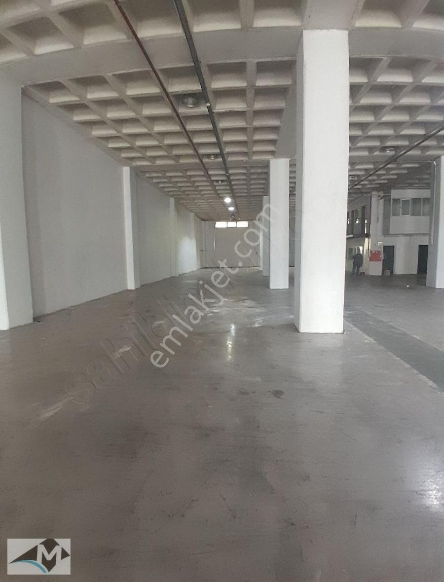 İkitelli Organize Sanayi 3.000 M2 Tır Kamyon İçeri Girer Depo - Görsel 3