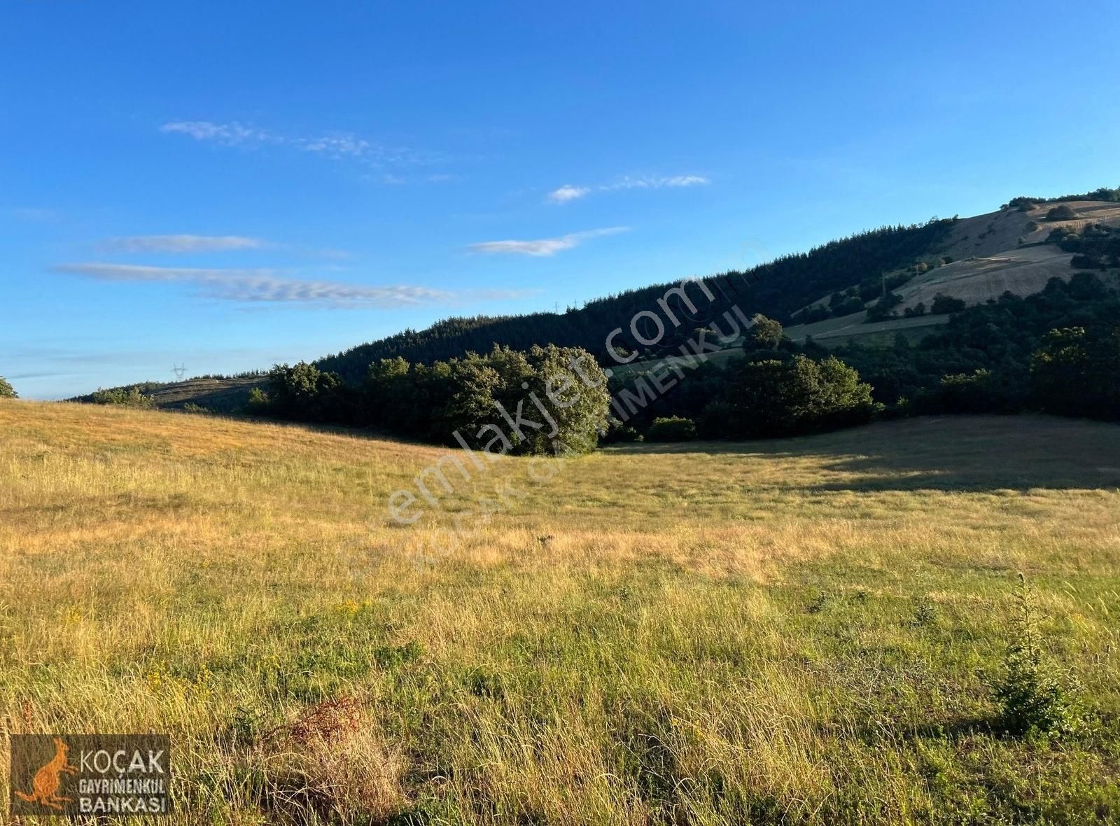 Derbent Köyünde Harika Doğa Manzarasıyla 2949m2 Hobi Bahçesi - Görsel 22