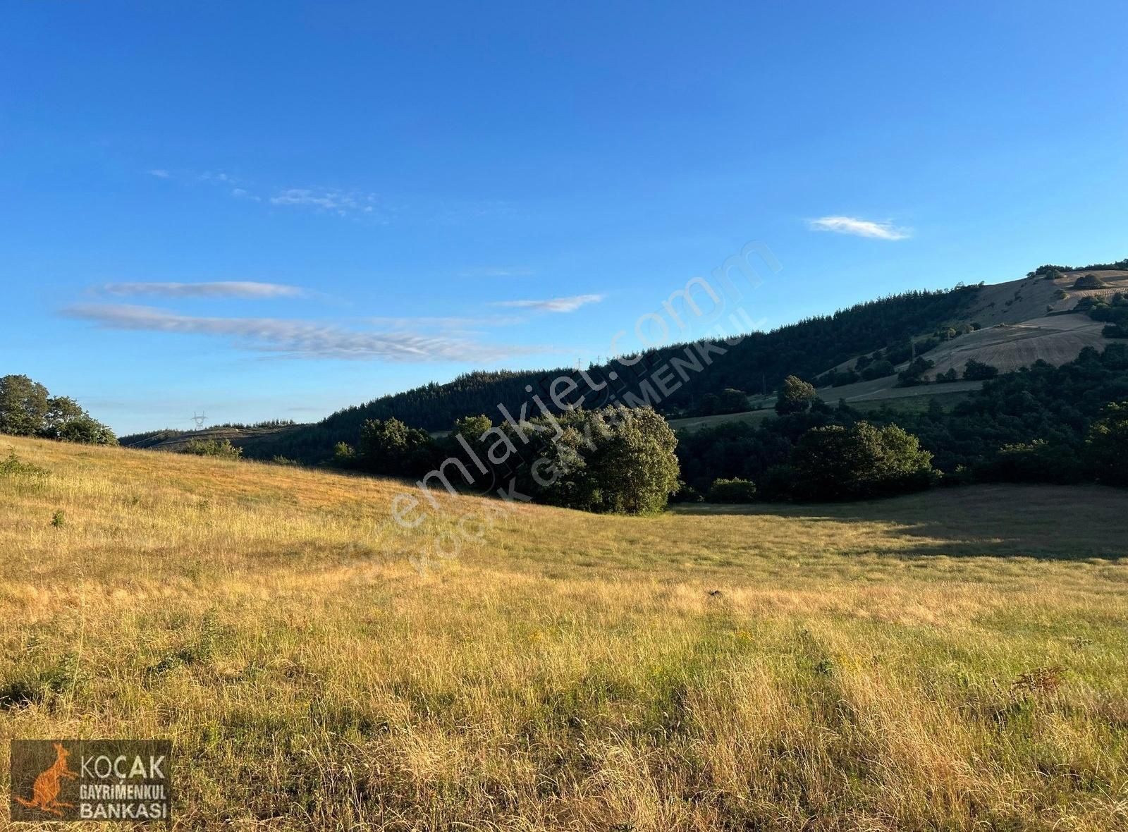 Derbent Köyünde Harika Doğa Manzarasıyla 2949m2 Hobi Bahçesi - Görsel 16