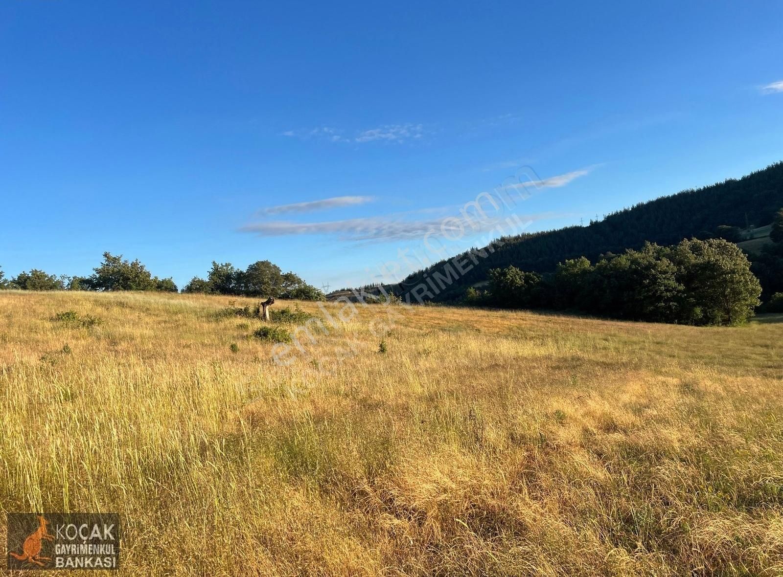 Derbent Köyünde Harika Doğa Manzarasıyla 2949m2 Hobi Bahçesi - Görsel 30
