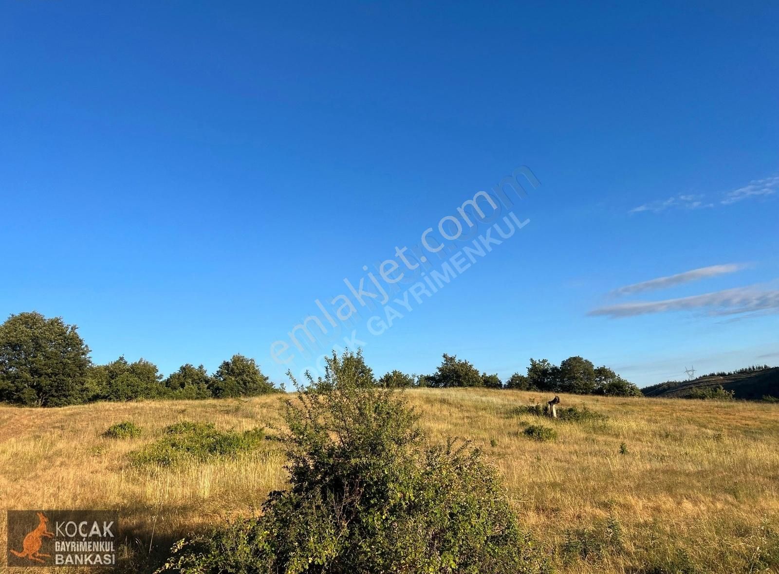 Derbent Köyünde Harika Doğa Manzarasıyla 2949m2 Hobi Bahçesi - Görsel 8