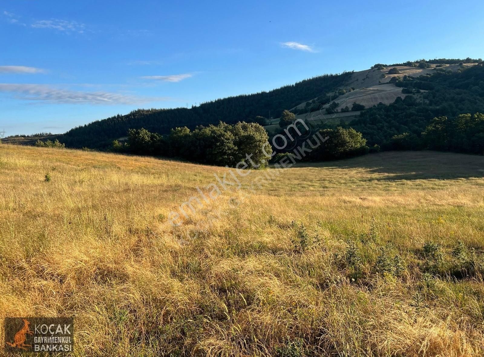Derbent Köyünde Harika Doğa Manzarasıyla 2949m2 Hobi Bahçesi - Görsel 2