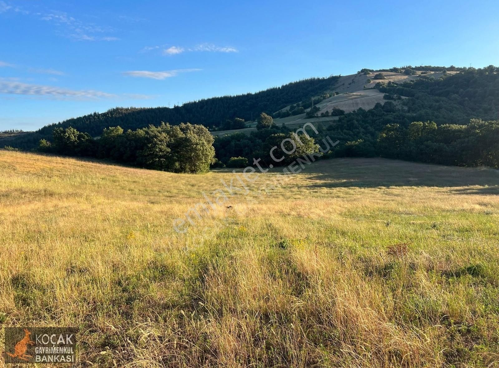 Derbent Köyünde Harika Doğa Manzarasıyla 2949m2 Hobi Bahçesi - Görsel 3