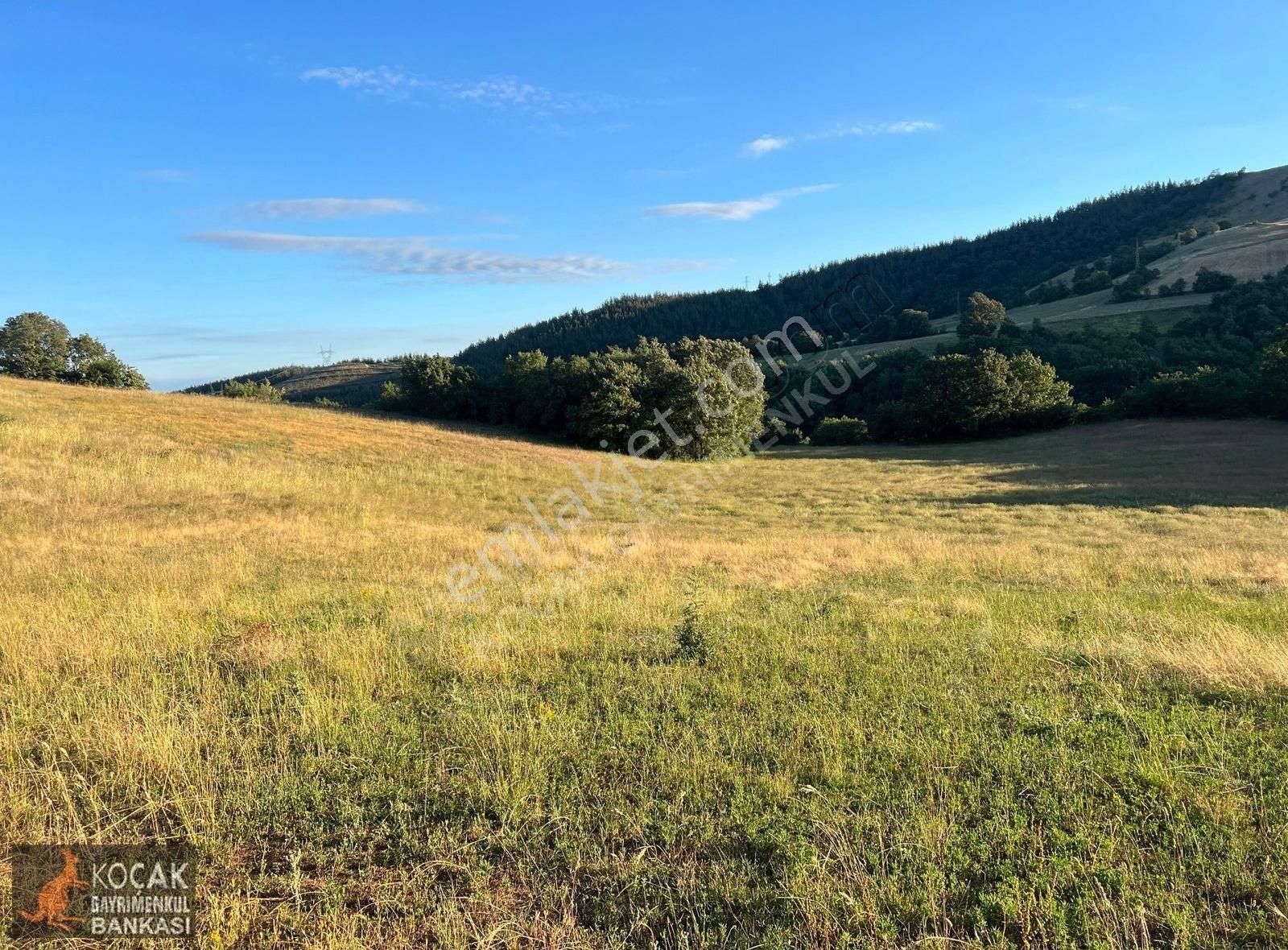 Derbent Köyünde Harika Doğa Manzarasıyla 2949m2 Hobi Bahçesi - Görsel 34