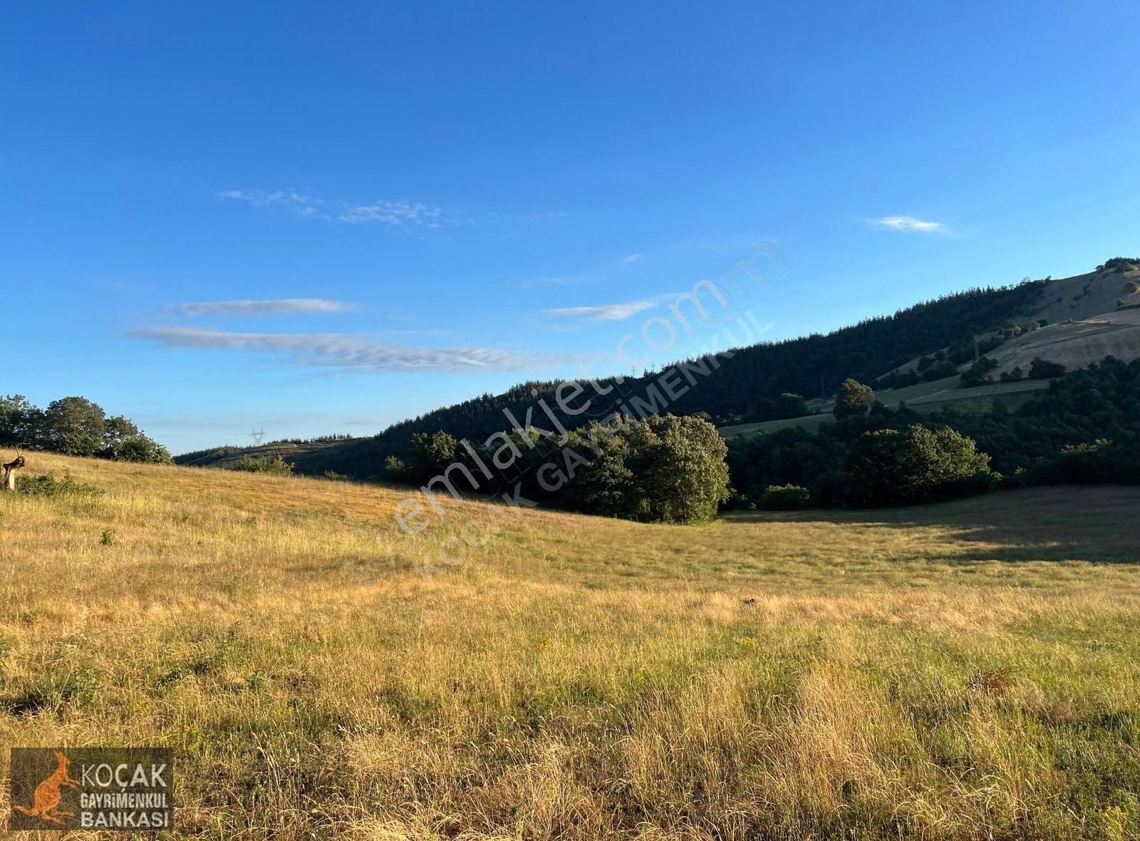 Derbent Köyünde Harika Doğa Manzarasıyla 2949m2 Hobi Bahçesi - Görsel 13