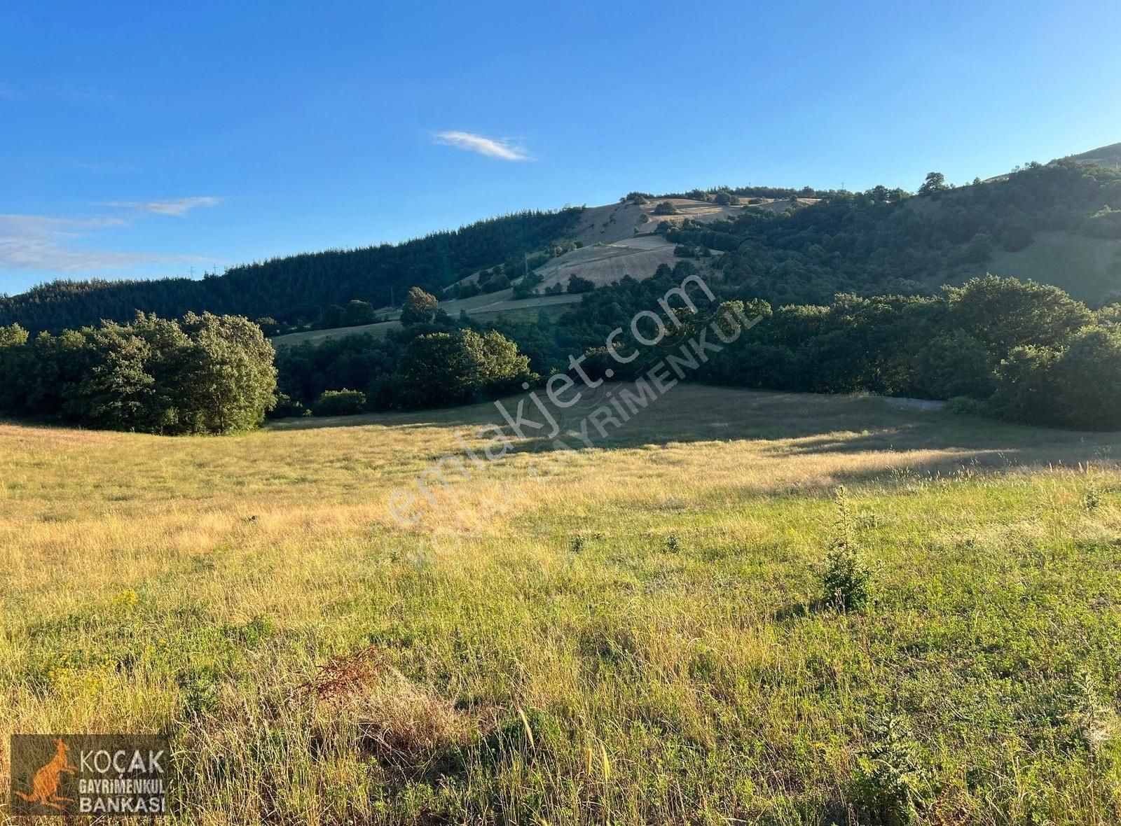 Derbent Köyünde Harika Doğa Manzarasıyla 2949m2 Hobi Bahçesi - Görsel 11