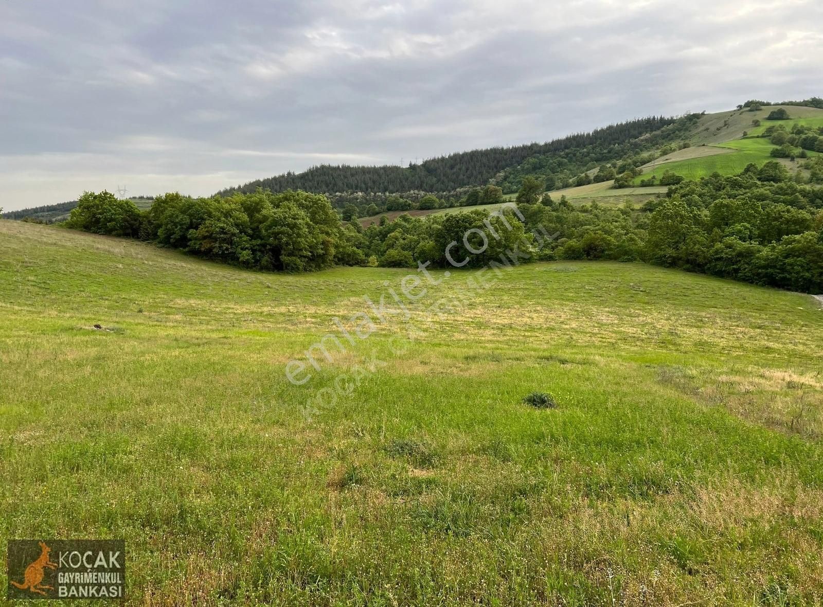 Derbent Köyünde Harika Doğa Manzarasıyla 2949m2 Hobi Bahçesi - Görsel 29