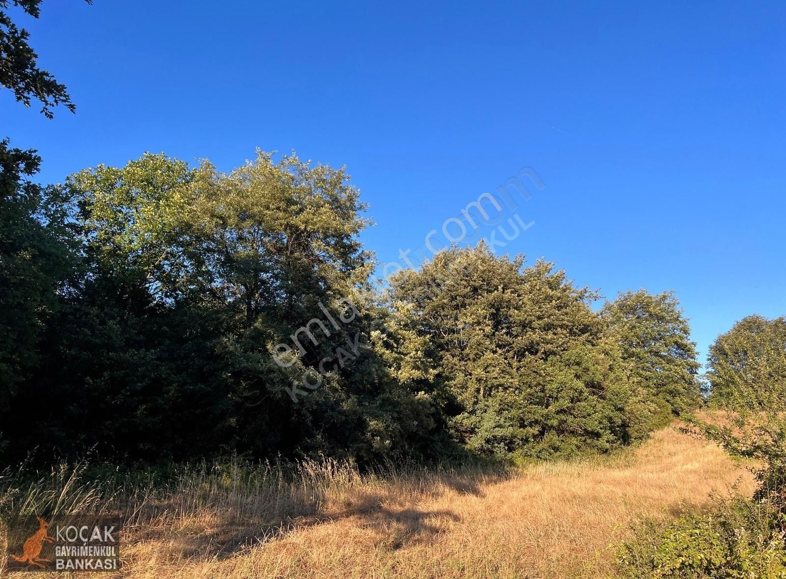 Derbent Köyünde Harika Doğa Manzarasıyla 2949m2 Hobi Bahçesi - Görsel 18
