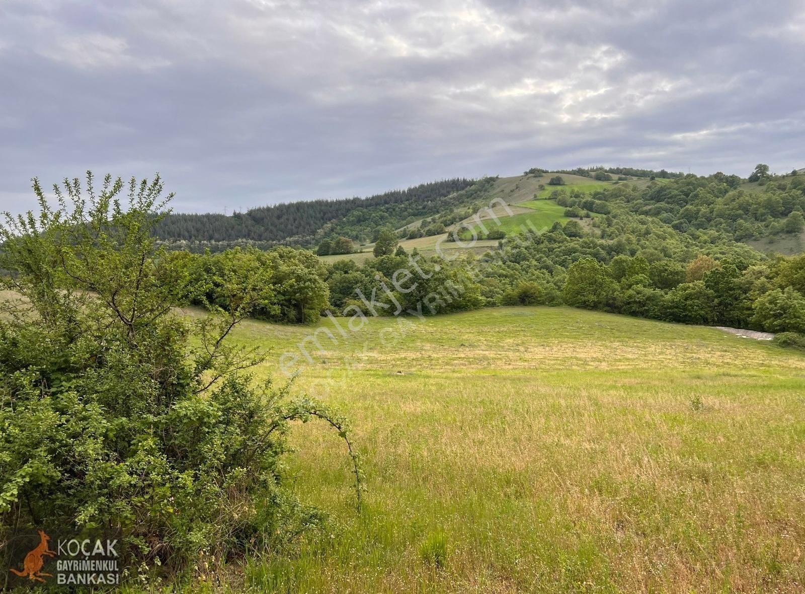 Derbent Köyünde Harika Doğa Manzarasıyla 2949m2 Hobi Bahçesi