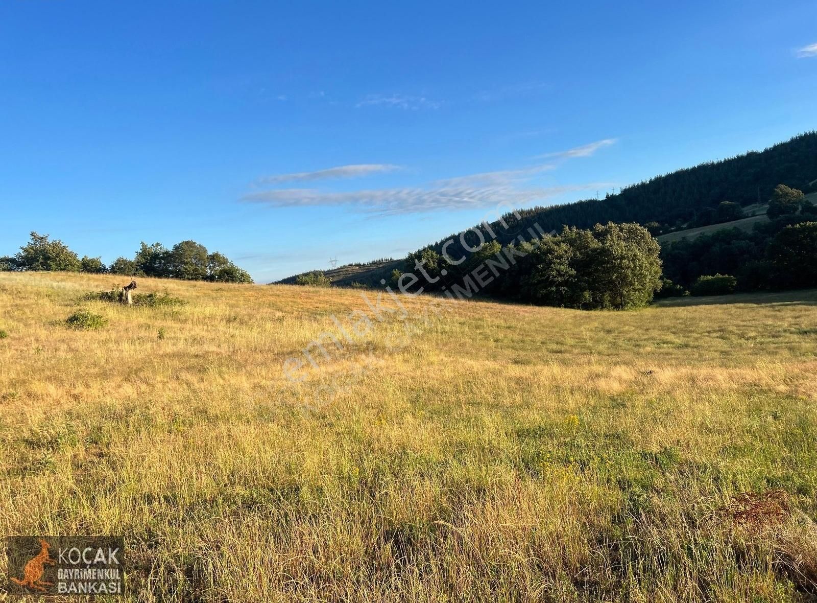Derbent Köyünde Harika Doğa Manzarasıyla 2949m2 Hobi Bahçesi - Görsel 7