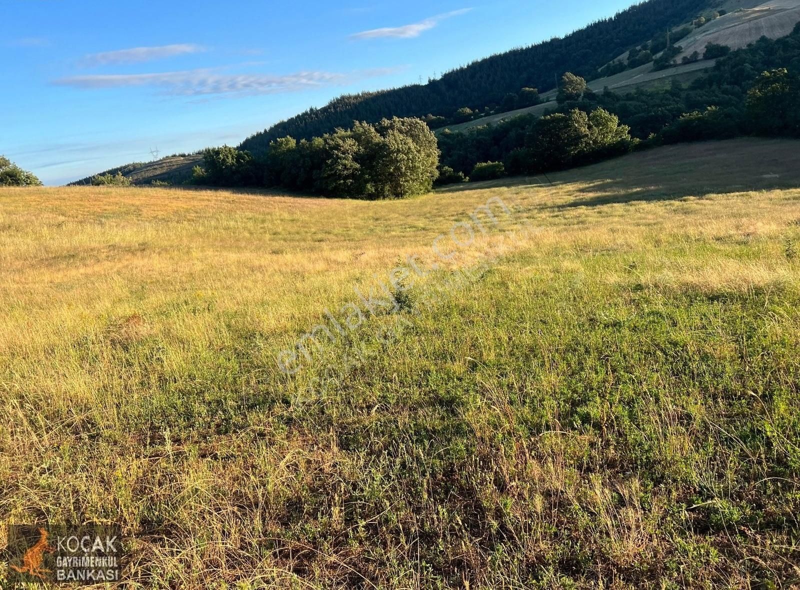 Derbent Köyünde Harika Doğa Manzarasıyla 2949m2 Hobi Bahçesi - Görsel 32