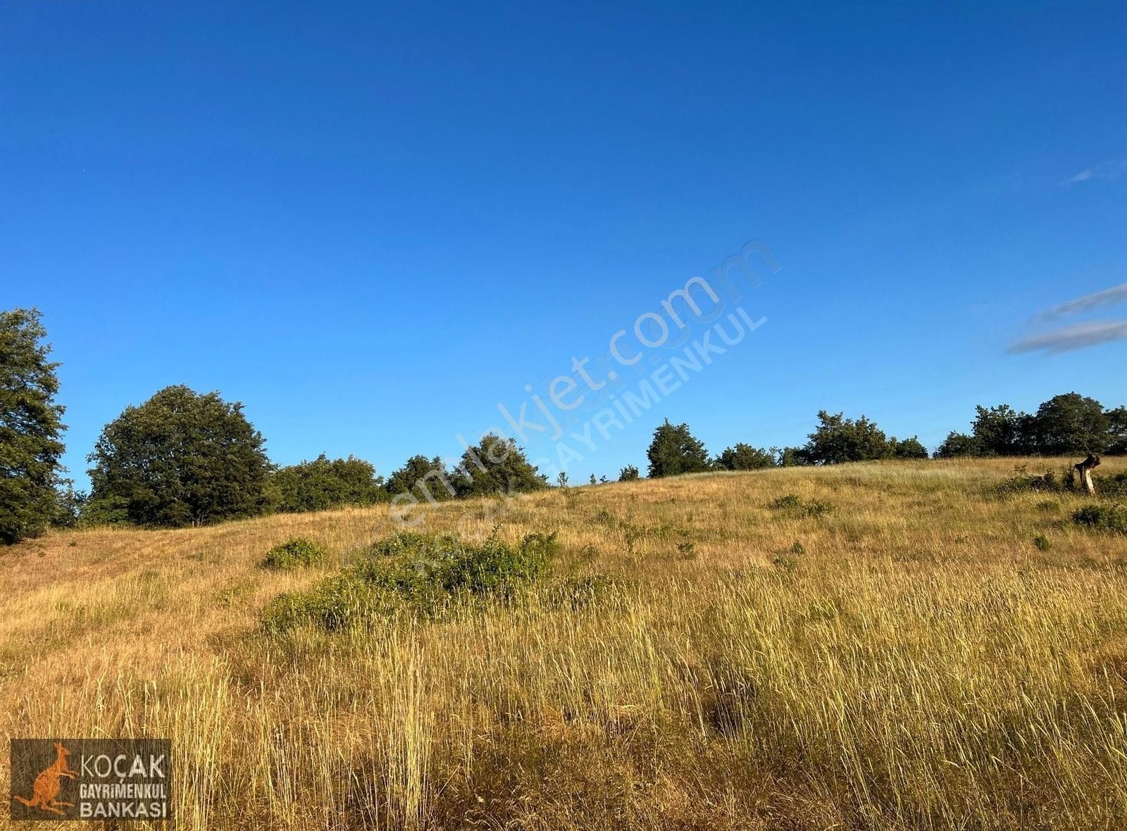 Derbent Köyünde Harika Doğa Manzarasıyla 2949m2 Hobi Bahçesi - Görsel 35