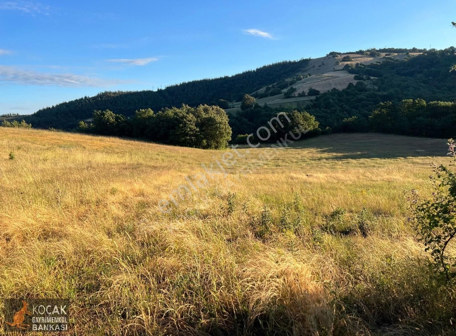 Derbent Köyünde Harika Doğa Manzarasıyla 2949m2 Hobi Bahçesi - Görsel 27