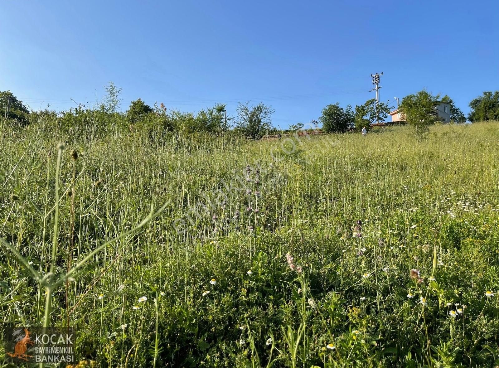 Kirazlıyayla Köyünde Villa İmarlı 1606m2 Satılık Arsa - Görsel 2