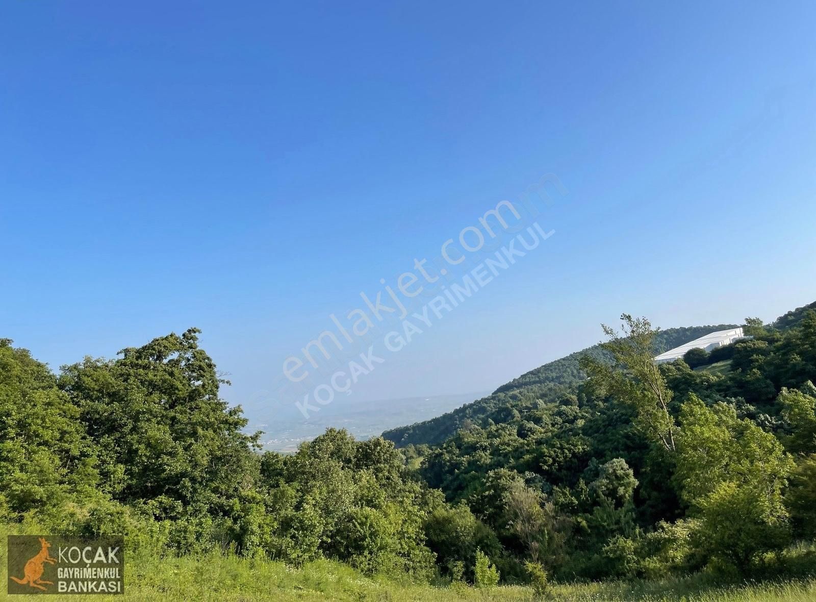 Kirazlıyayla Köyünde Villa İmarlı 1606m2 Satılık Arsa - Görsel 4