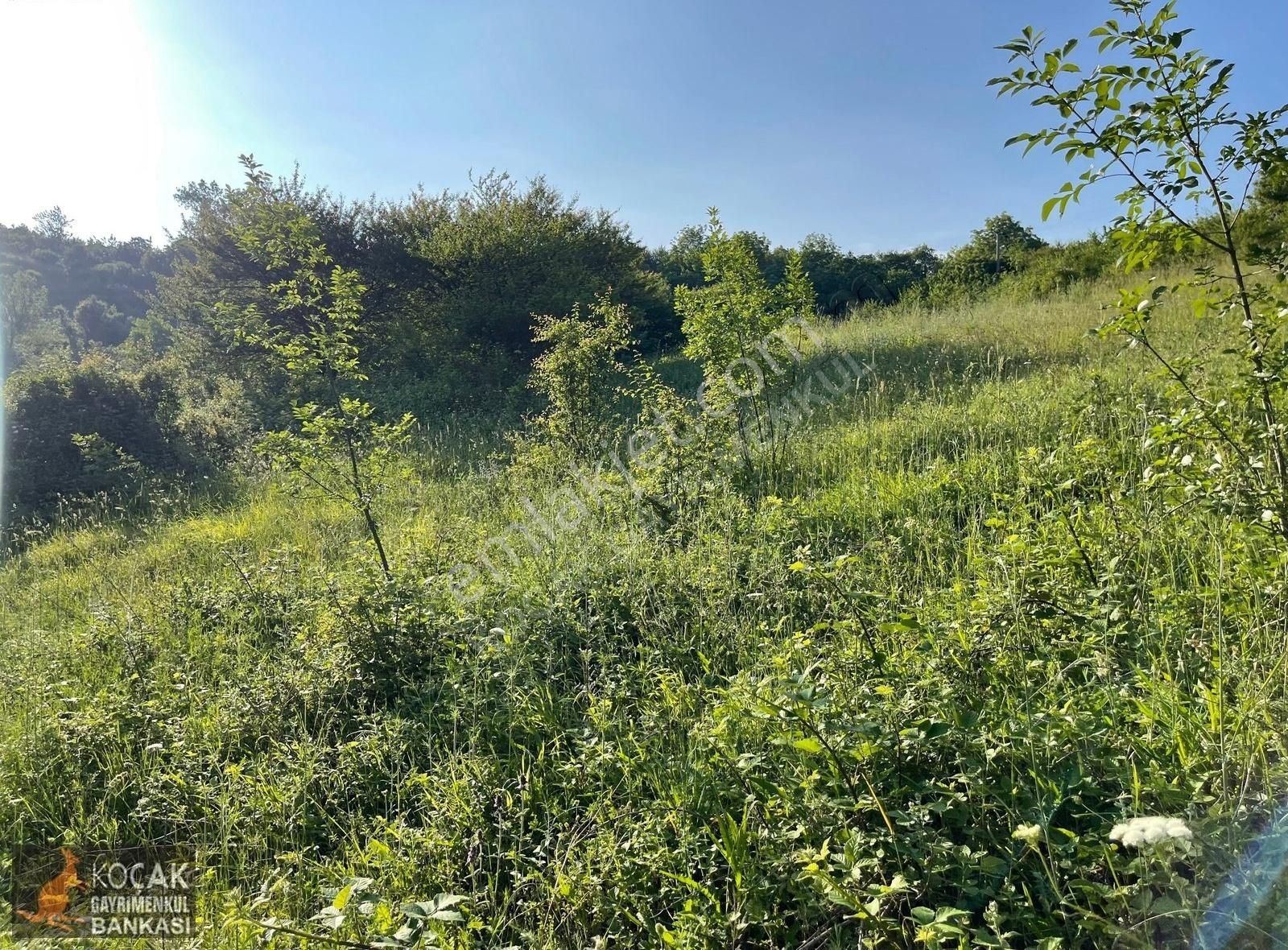 Kirazlıyayla Köyünde Villa İmarlı 1606m2 Satılık Arsa - Görsel 14