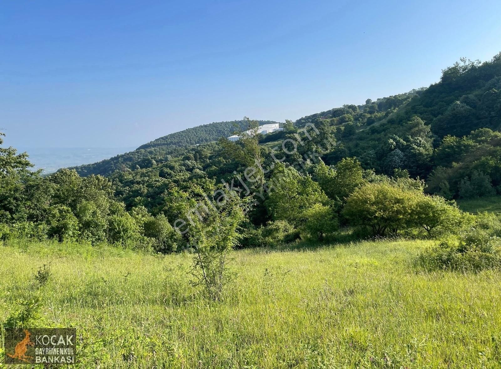 Kirazlıyayla Köyünde Villa İmarlı 1606m2 Satılık Arsa - Görsel 22