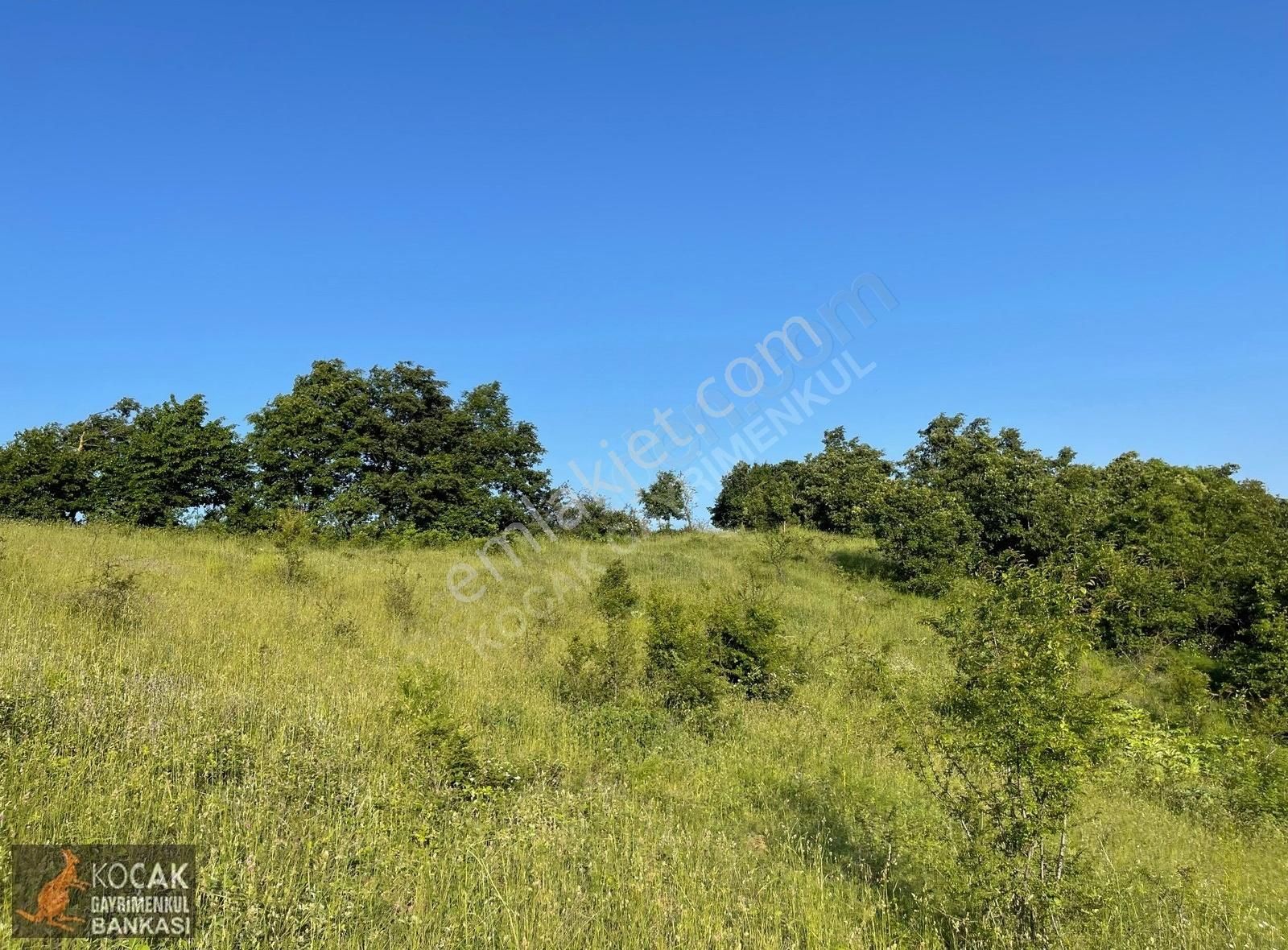 Kirazlıyayla Köyünde Villa İmarlı 1606m2 Satılık Arsa - Görsel 17