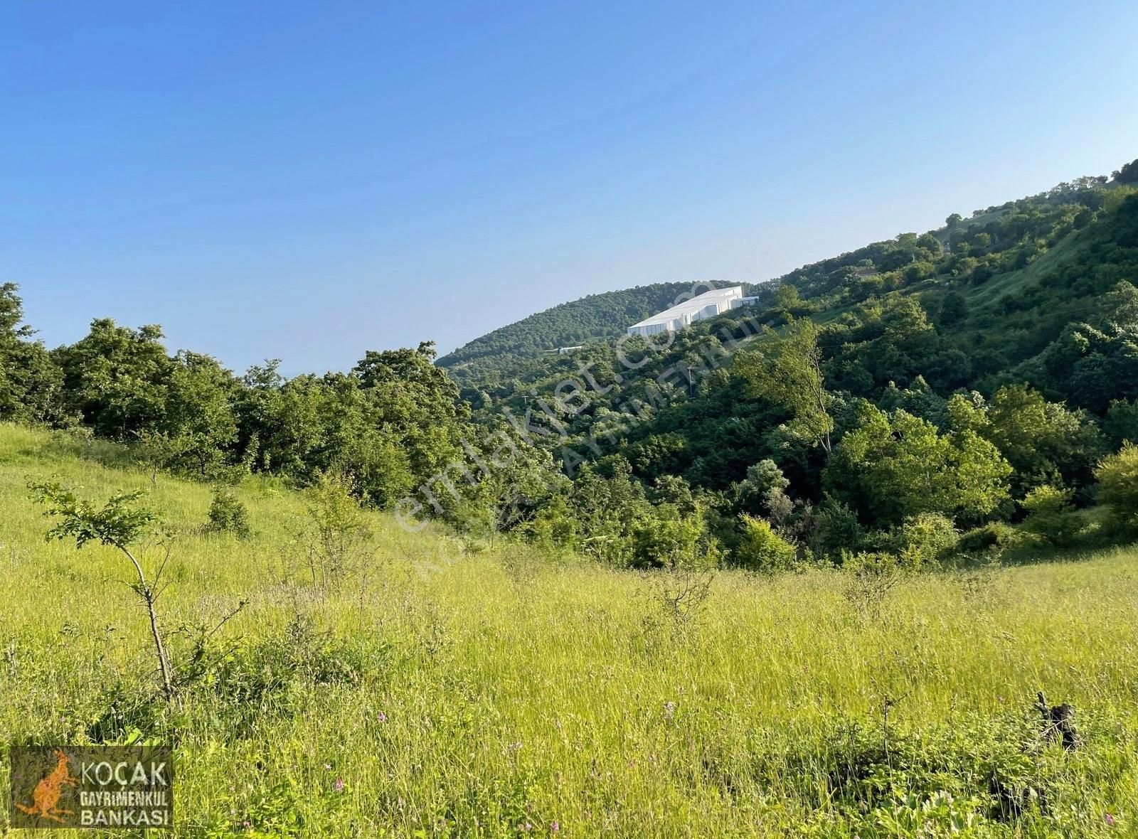 Kirazlıyayla Köyünde Villa İmarlı 1606m2 Satılık Arsa - Görsel 5