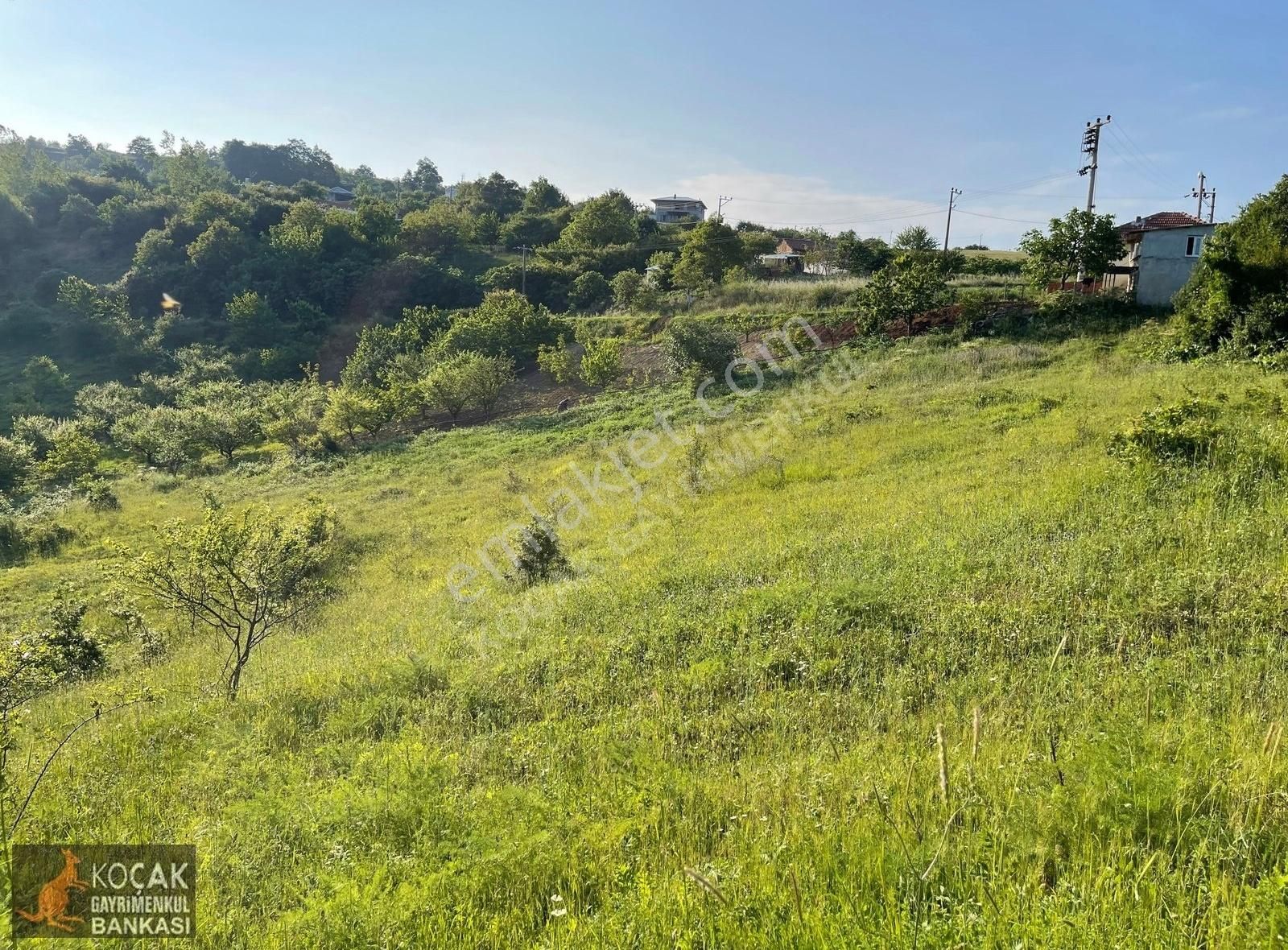 Kirazlıyayla Köyünde Villa İmarlı 1606m2 Satılık Arsa - Görsel 21