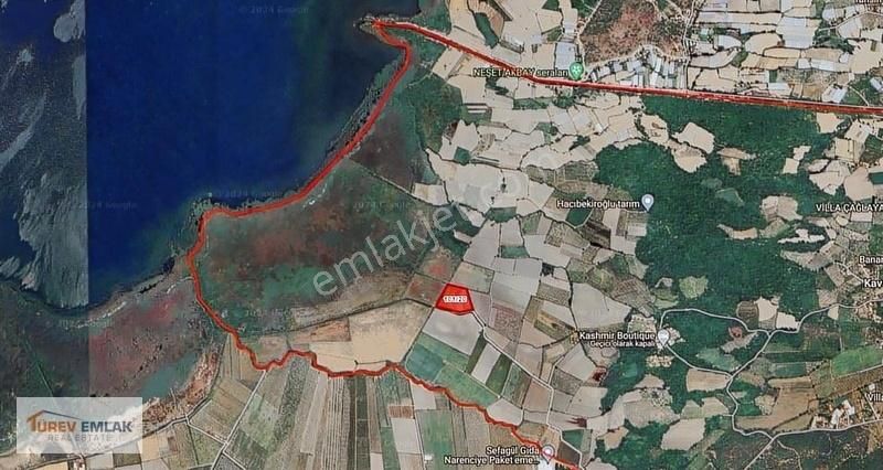 Türev Emlaktan Köyceğiz Kavakarasında Rızai Taksimli Tarla