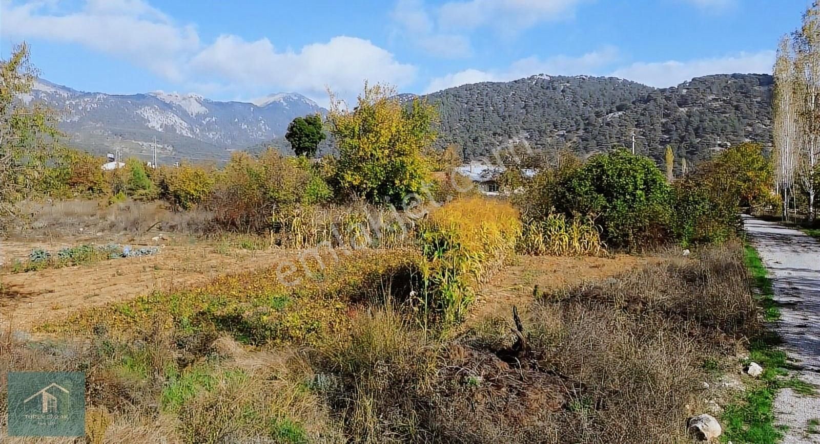 Türev Emlaktan Fethiye Nifte Acil Satılık İmarlı Arazi
