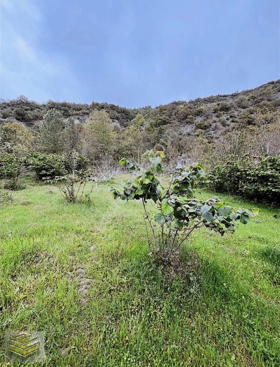 Ekipten Aşağıavdanda Irmağa 2 Parsel 1512 M2 Tarla - Görsel 2