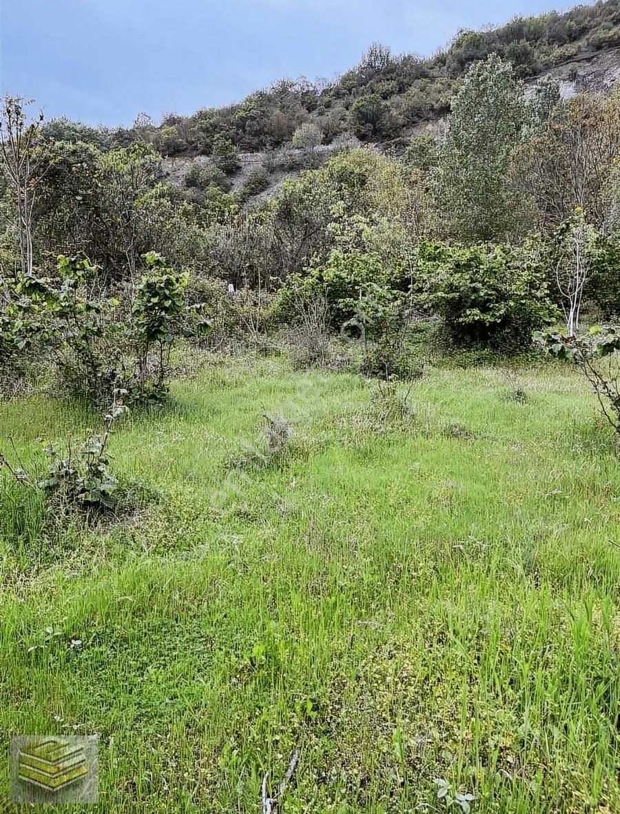 Ekipten Aşağıavdanda Irmağa 2 Parsel 1512 M2 Tarla - Görsel 5