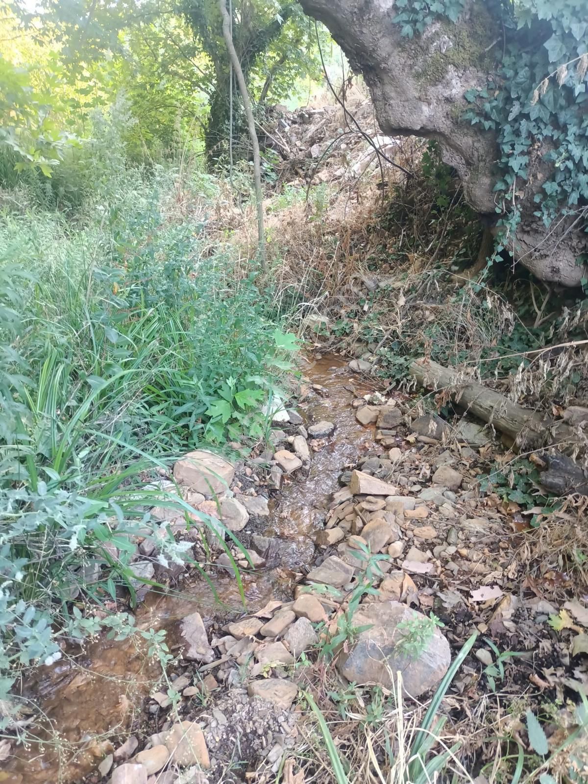 Bayındır Kızılkeçili’de Satılık Bahçe - Görsel 13