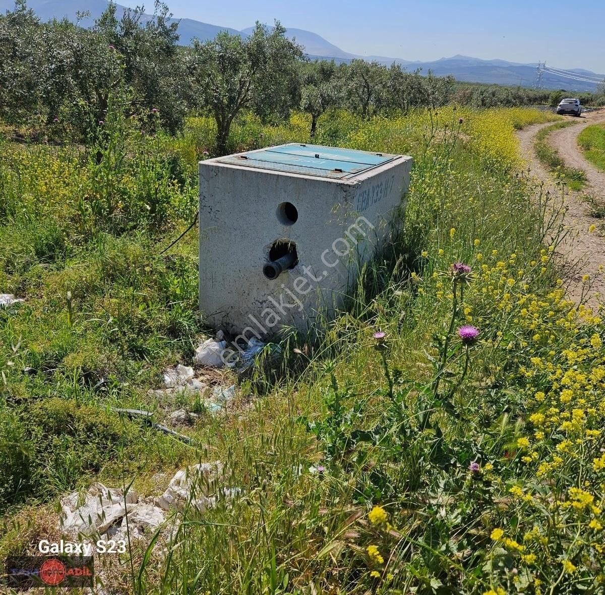 Bölcek Mah. Yatırımlık Zeytinlik - Görsel 5