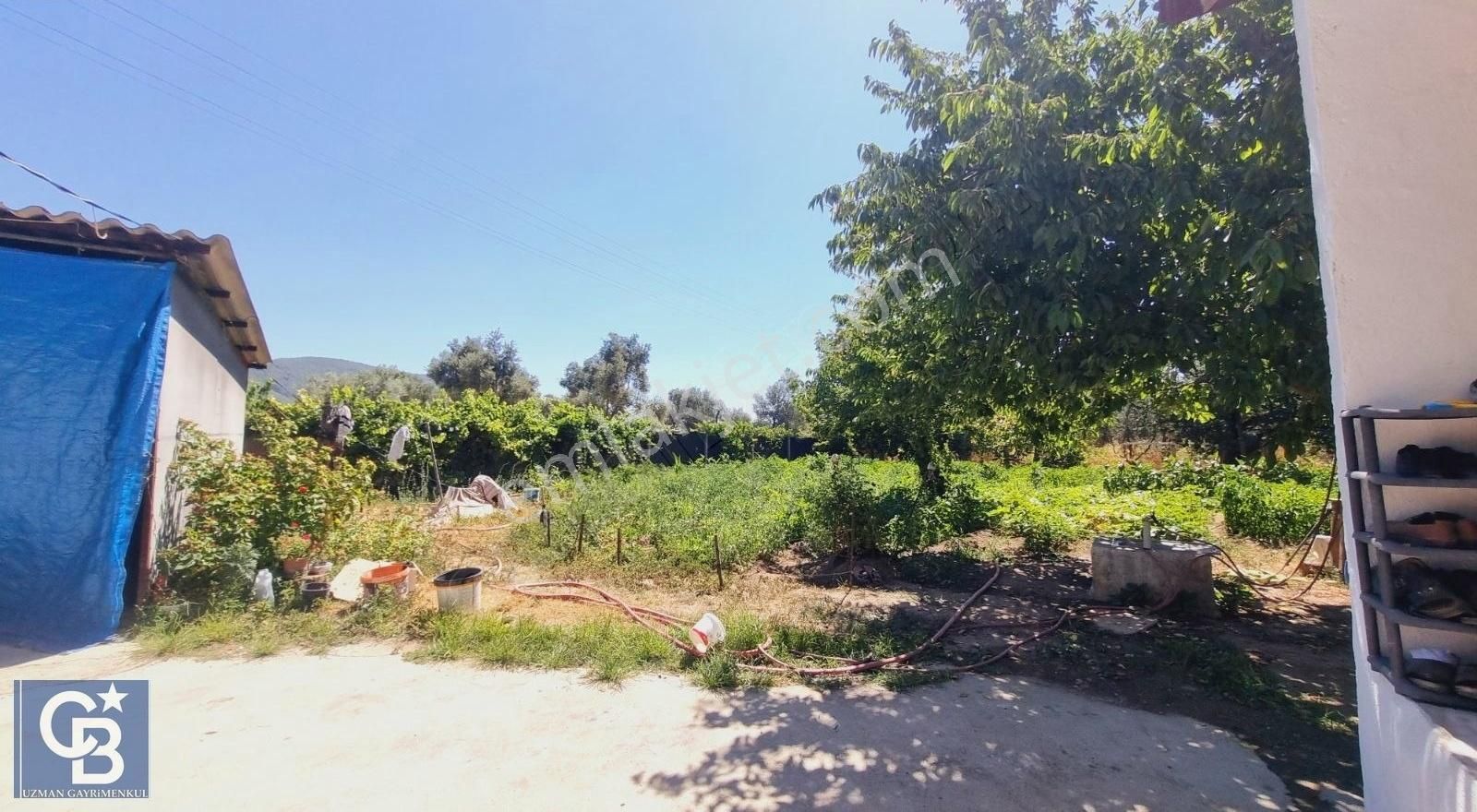 Ula Mahallesi Meyva Ağaçlı Bağ Evi Ve Arsası - Görsel 11