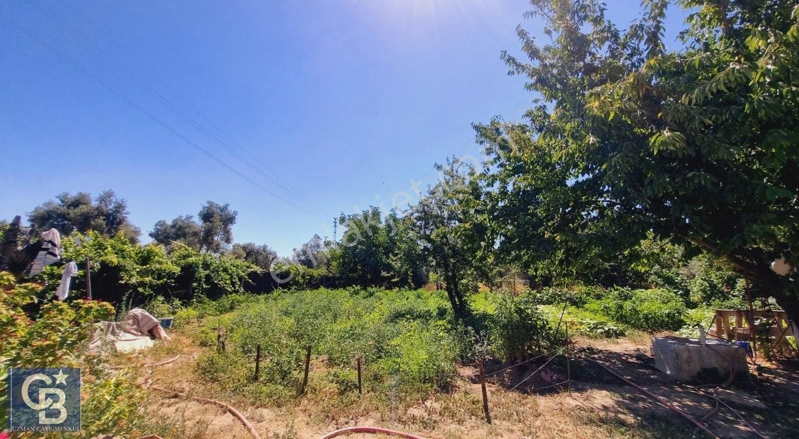 Ula Mahallesi Meyva Ağaçlı Bağ Evi Ve Arsası - Görsel 34