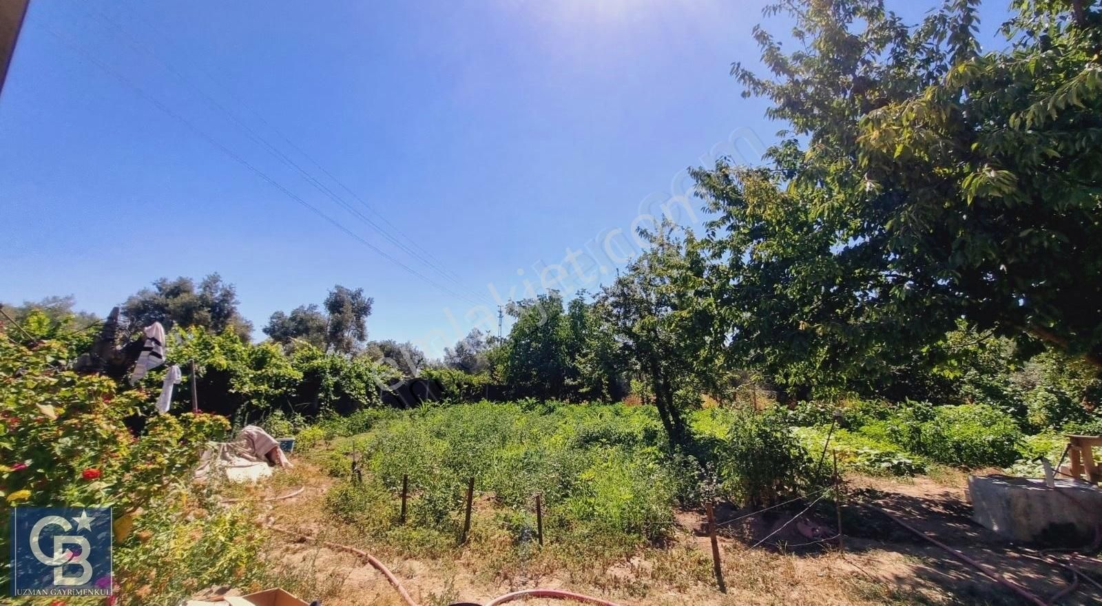 Ula Mahallesi Meyva Ağaçlı Bağ Evi Ve Arsası - Görsel 2