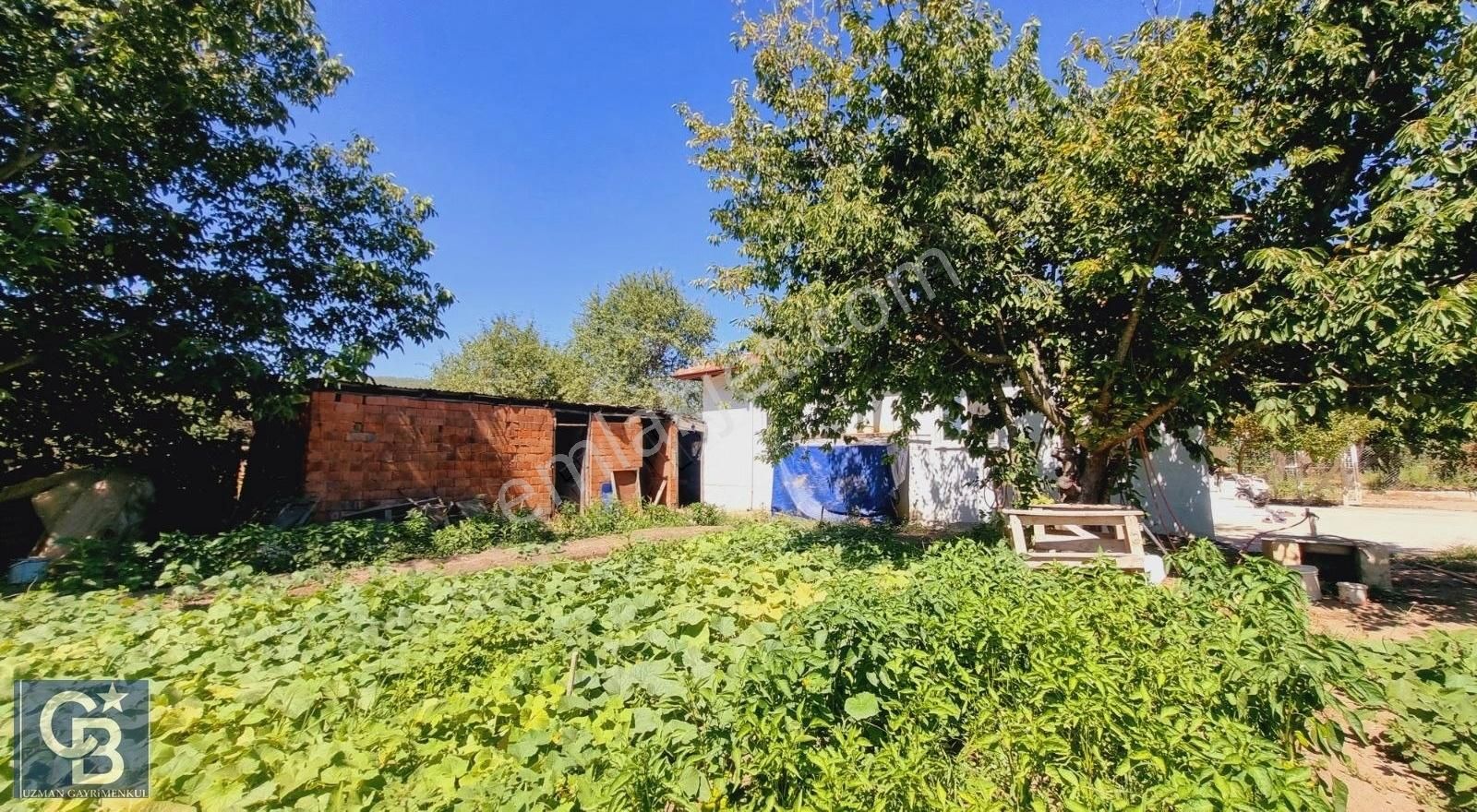 Ula Mahallesi Meyva Ağaçlı Bağ Evi Ve Arsası - Görsel 25