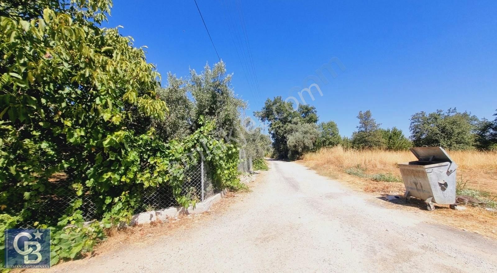 Ula Mahallesi Meyva Ağaçlı Bağ Evi Ve Arsası - Görsel 15