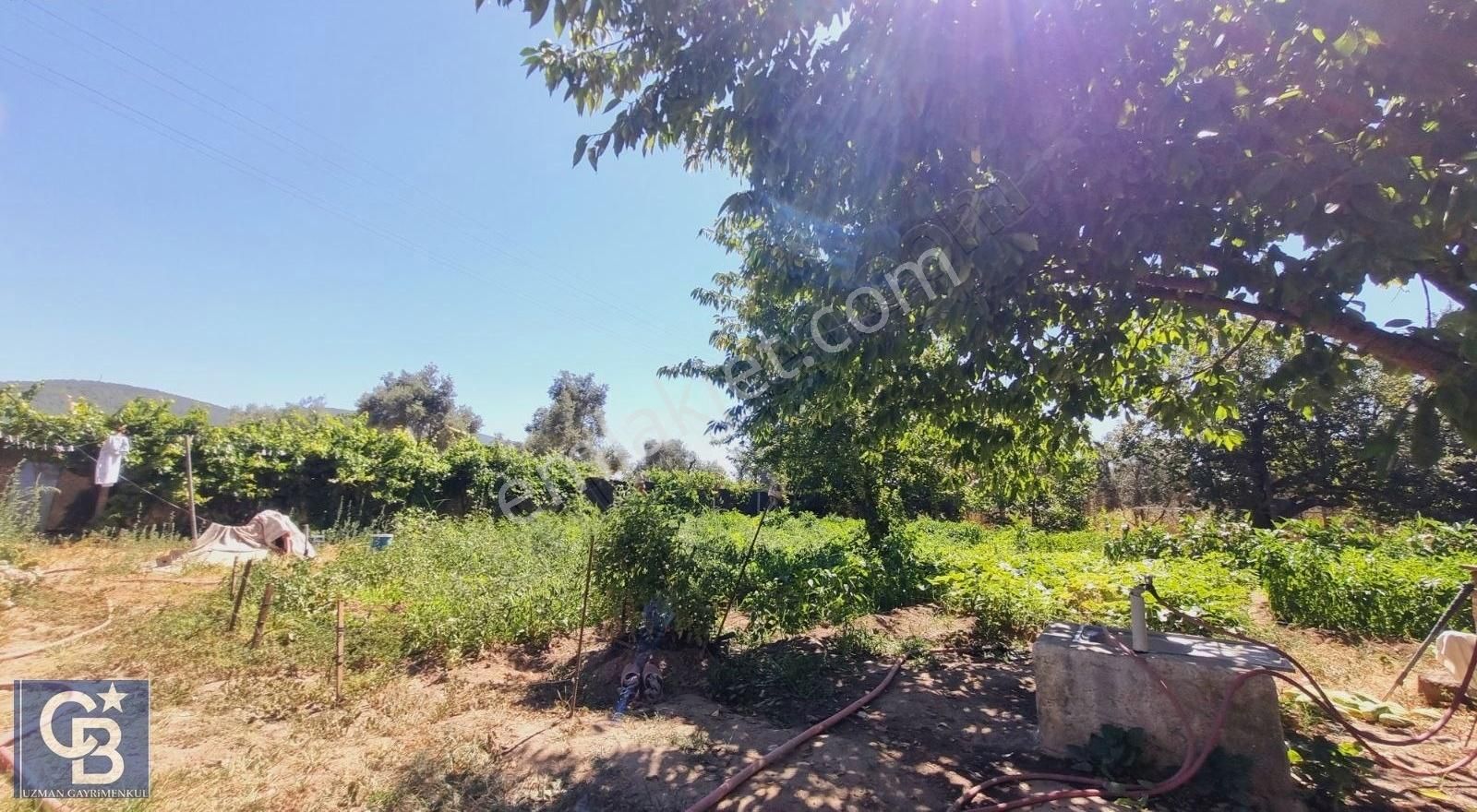 Ula Mahallesi Meyva Ağaçlı Bağ Evi Ve Arsası - Görsel 29