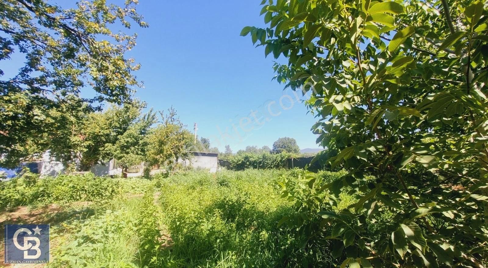 Ula Mahallesi Meyva Ağaçlı Bağ Evi Ve Arsası - Görsel 10