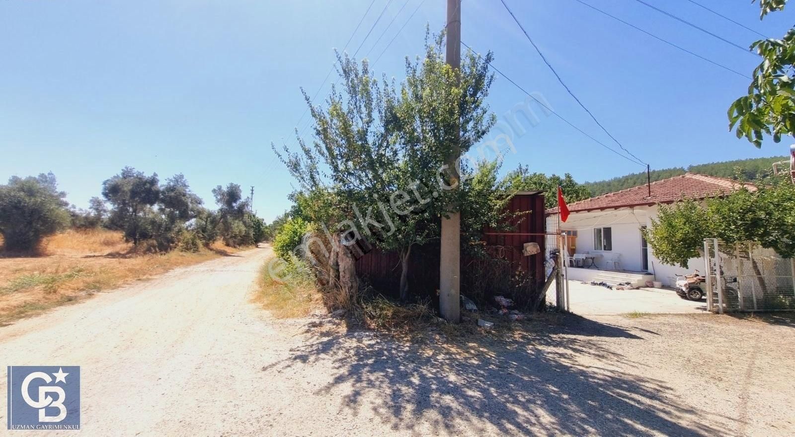 Ula Mahallesi Meyva Ağaçlı Bağ Evi Ve Arsası - Görsel 13