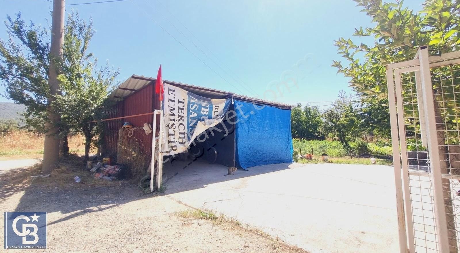 Ula Mahallesi Meyva Ağaçlı Bağ Evi Ve Arsası - Görsel 20